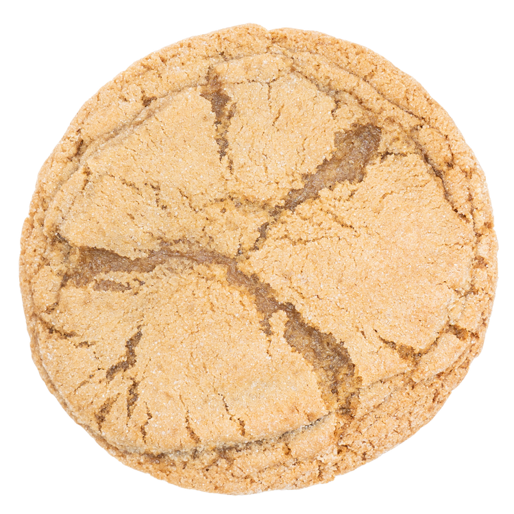 Gingersnap Cookie