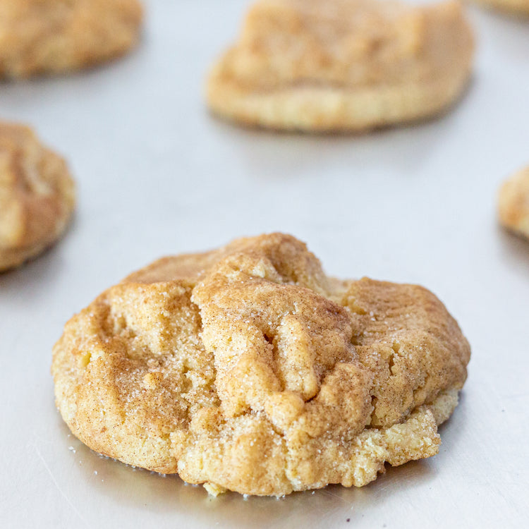 Snickerdoodle Cookie