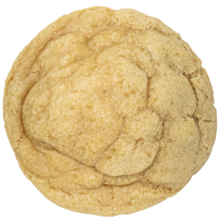 Sugar Cookie