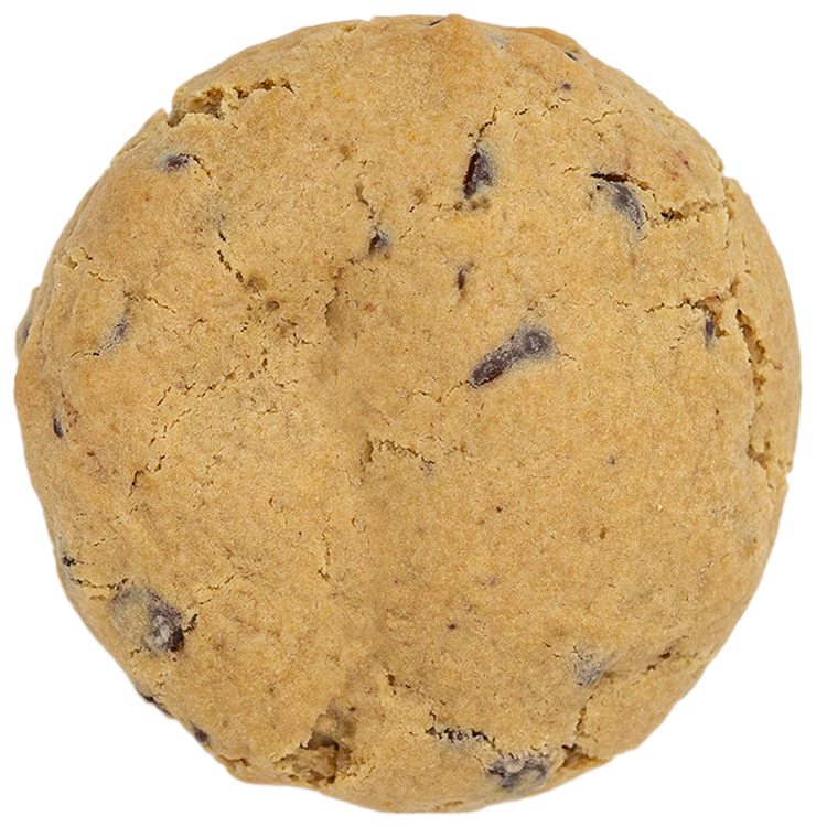 Chocolate Chip Biscuit Cookie