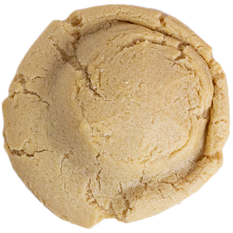 Vegan-Friendly Sugar Cookie