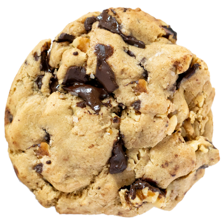 Walnut Chocolate Chunk Cookie