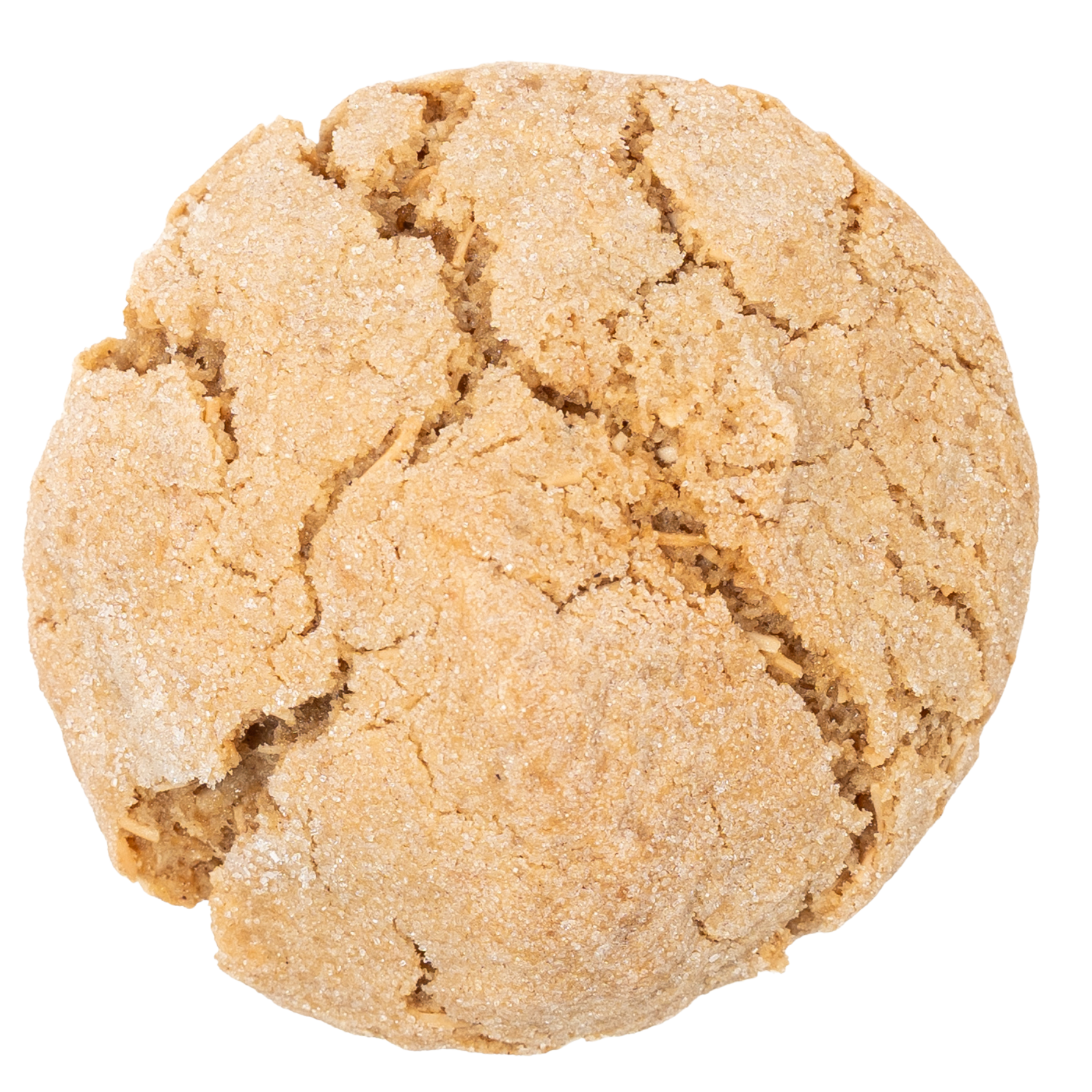 Coconut Rum Cookie