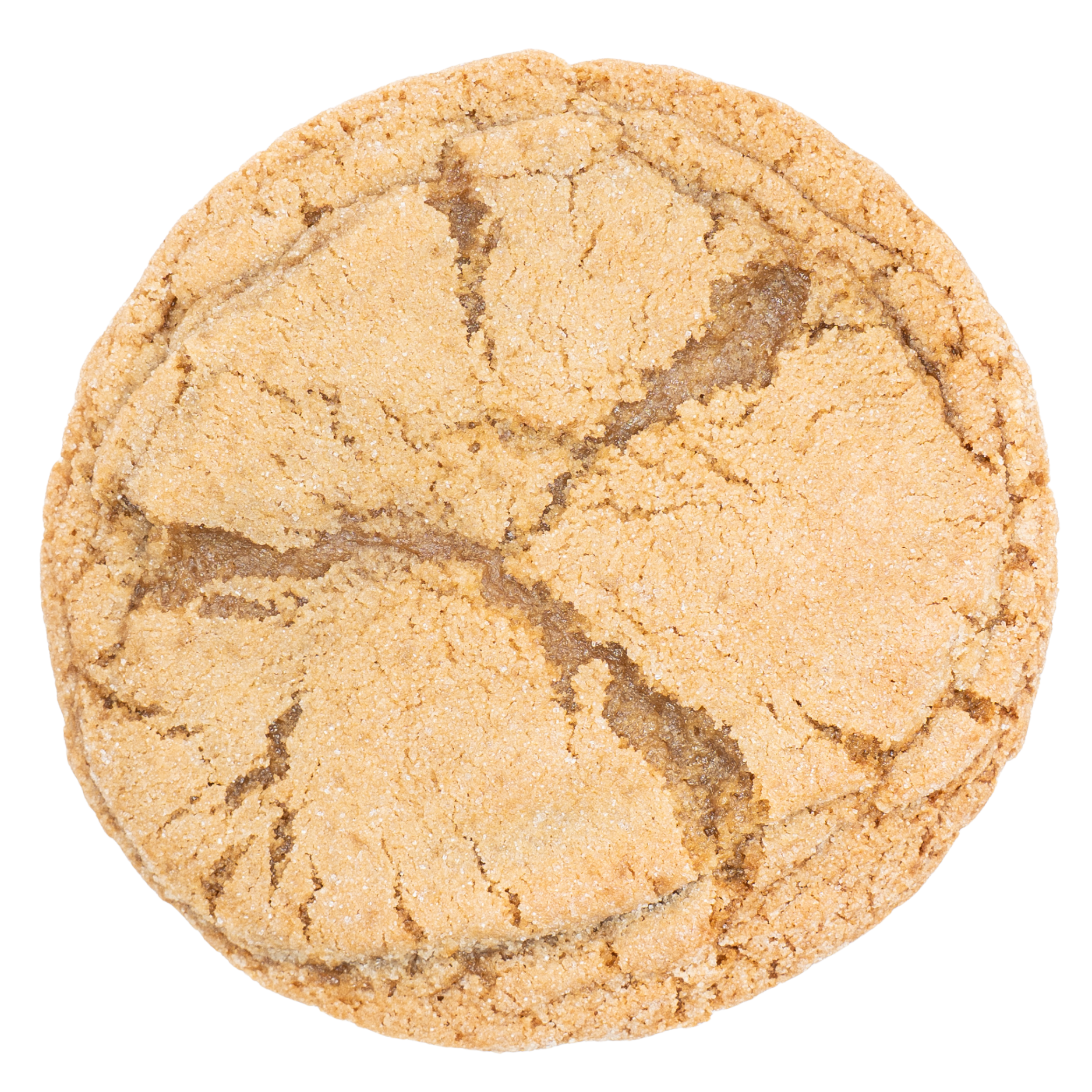 Gingersnap Cookie