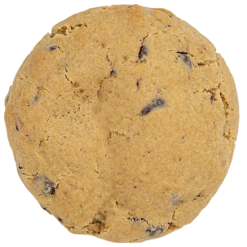 Chocolate Chip Biscuit Cookie