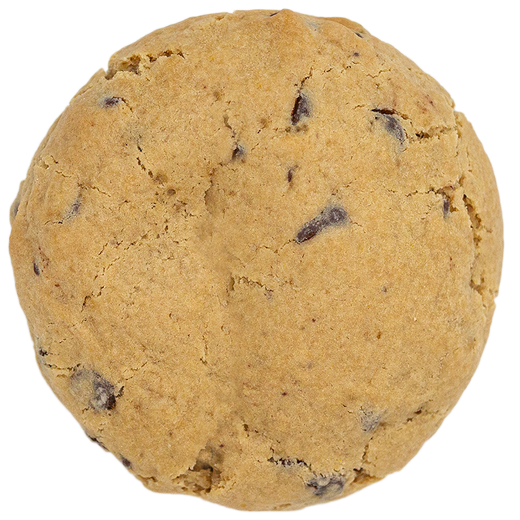 Chocolate Chip Biscuit