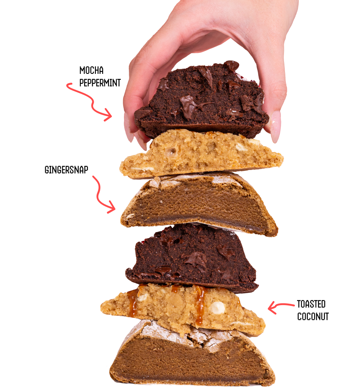 Taylor Chip Chip Box Taylor Chip | Delightfully Perfect Cookies